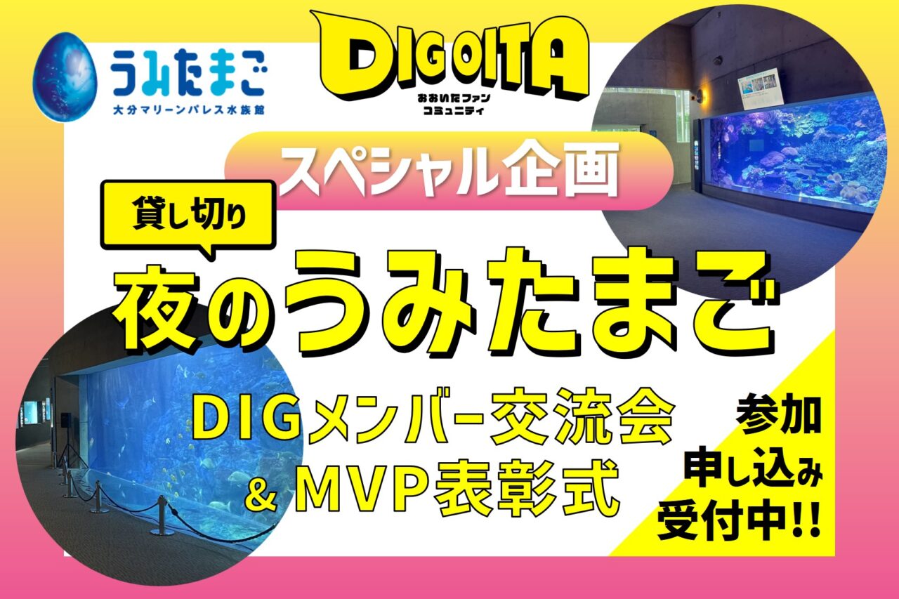 夜の「うみたまご」貸し切り DIGメンバー交流会参加申込受付中!!