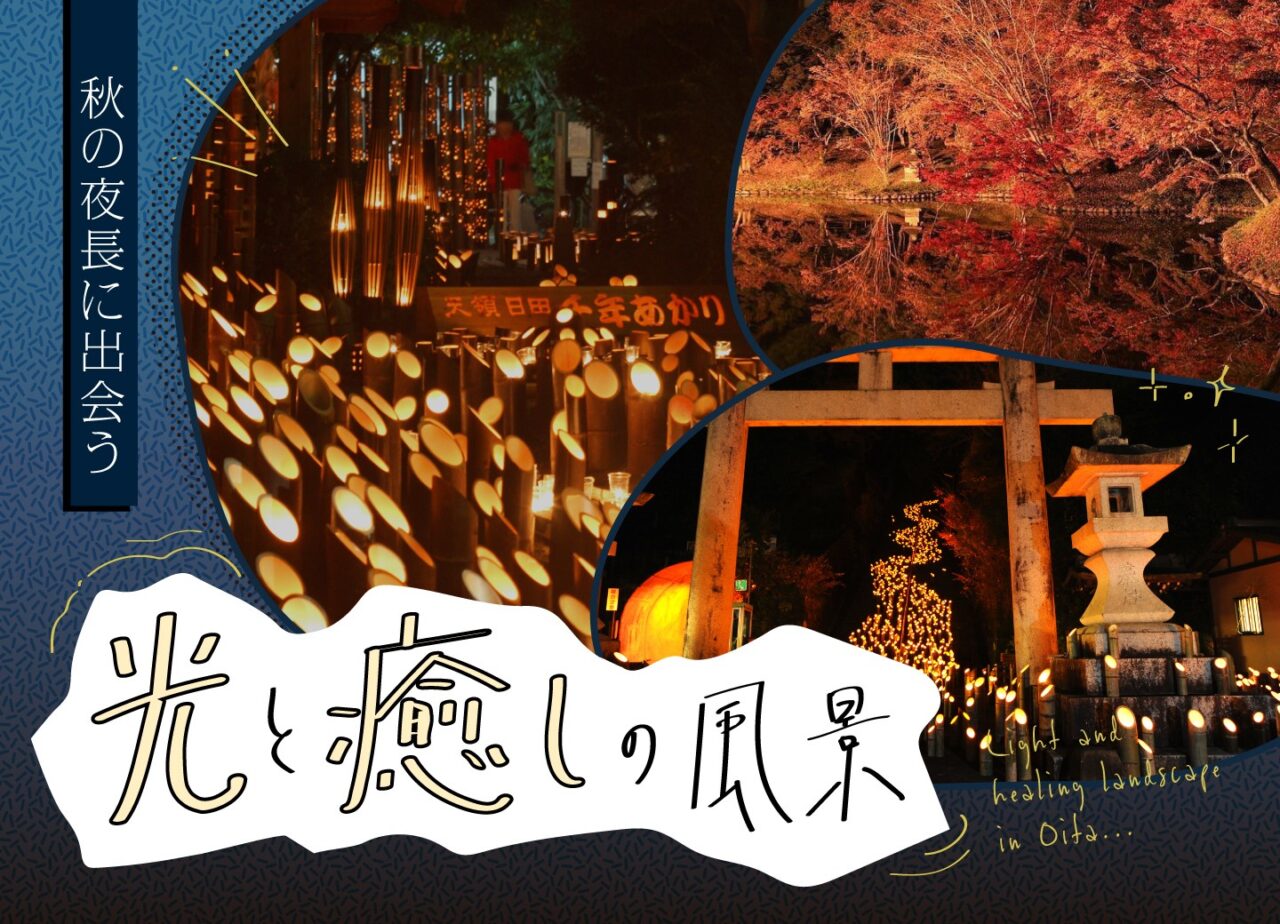 秋の夜長に出会う、光と癒しの風景。